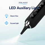 LED auxiliary light
